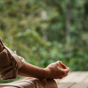 Workshop Reset Interior (21 Días)