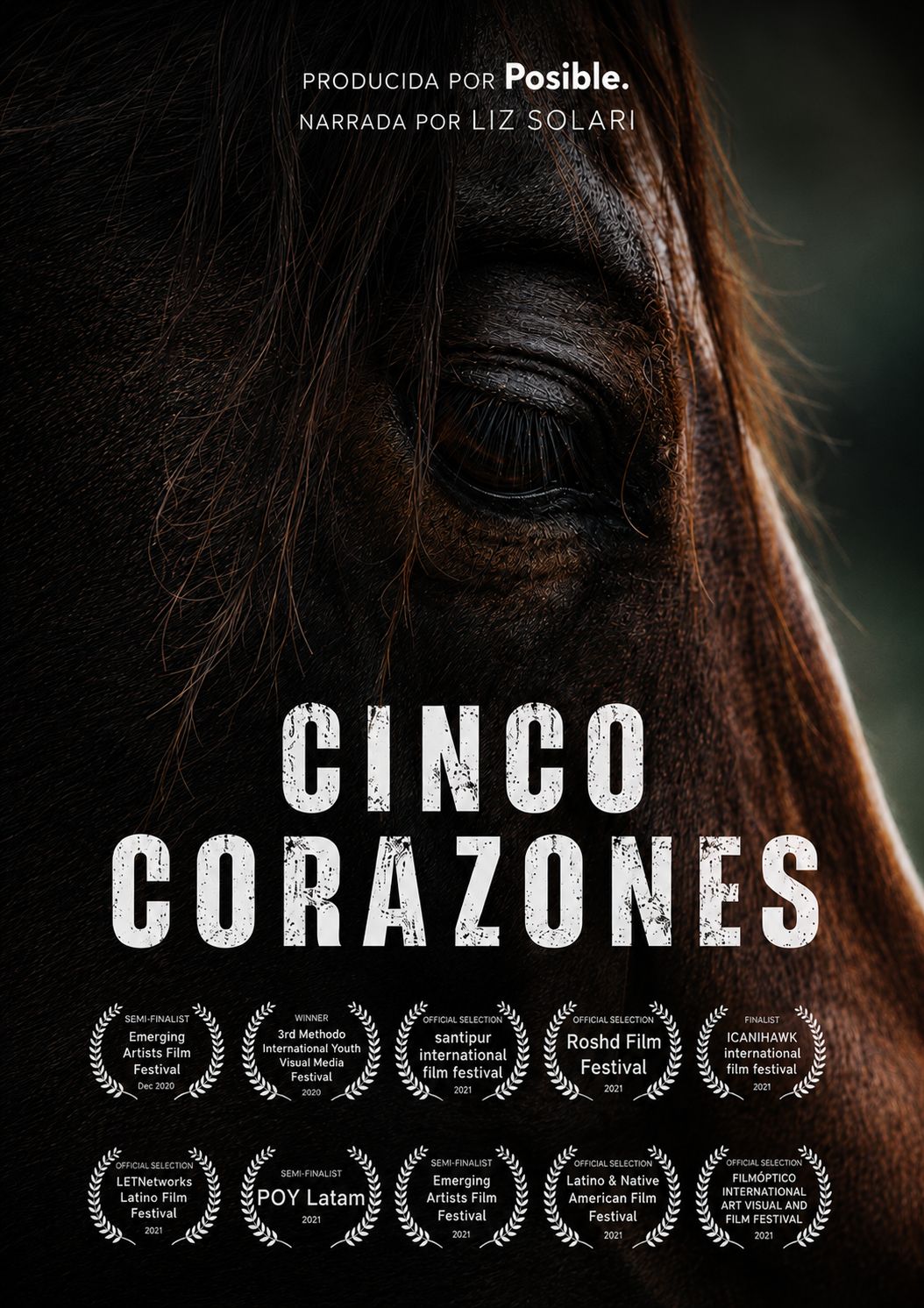5 Corazones